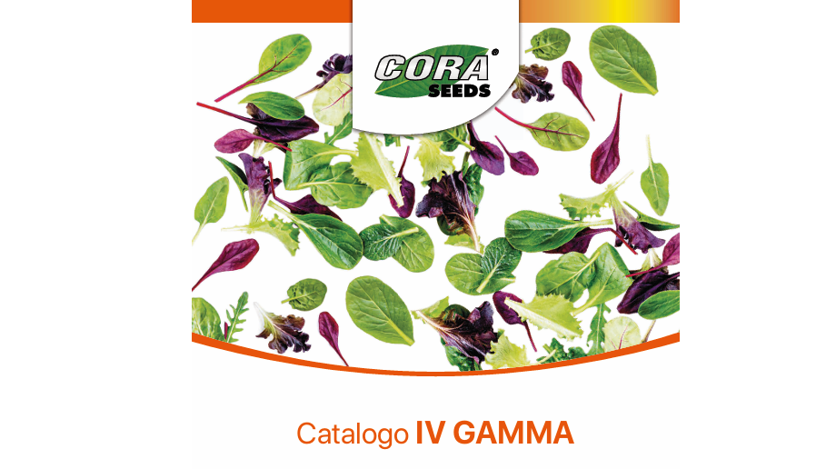 cora seeds.png
